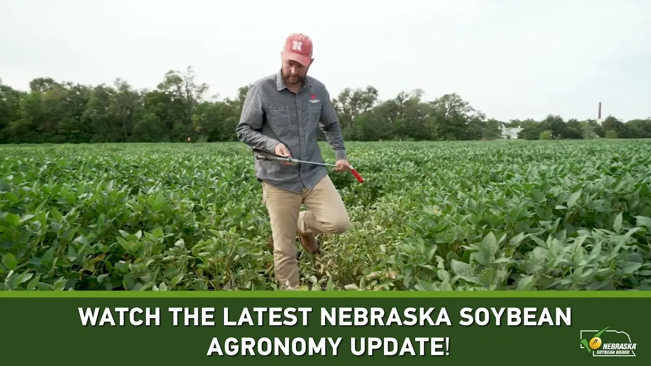 Current Soybean Agronomy Updates At Your Fingertips